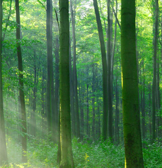 Z6·人生就是博(中国区)官方网站