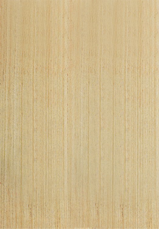 Z6人生就是博难燃板