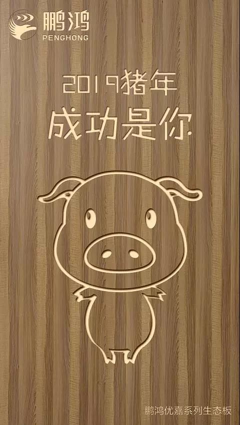 Z6人生就是博优嘉系列生态板