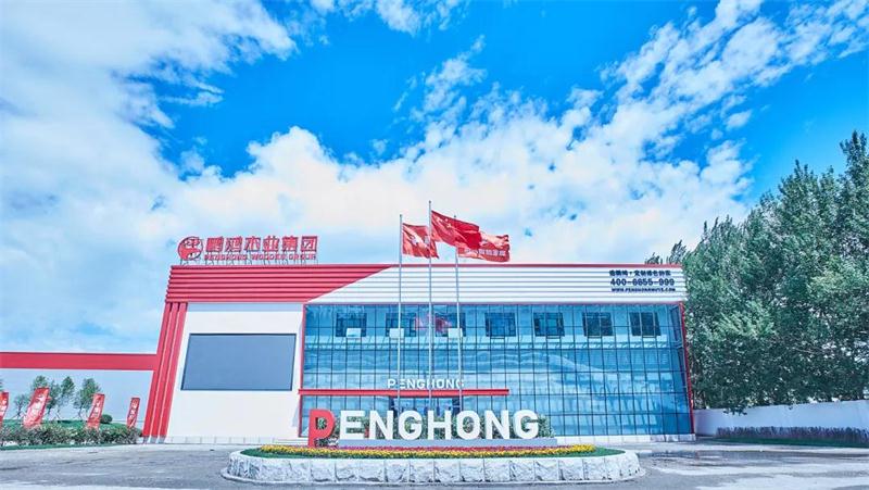 Z6人生就是博“定造家”升级“妄想家”