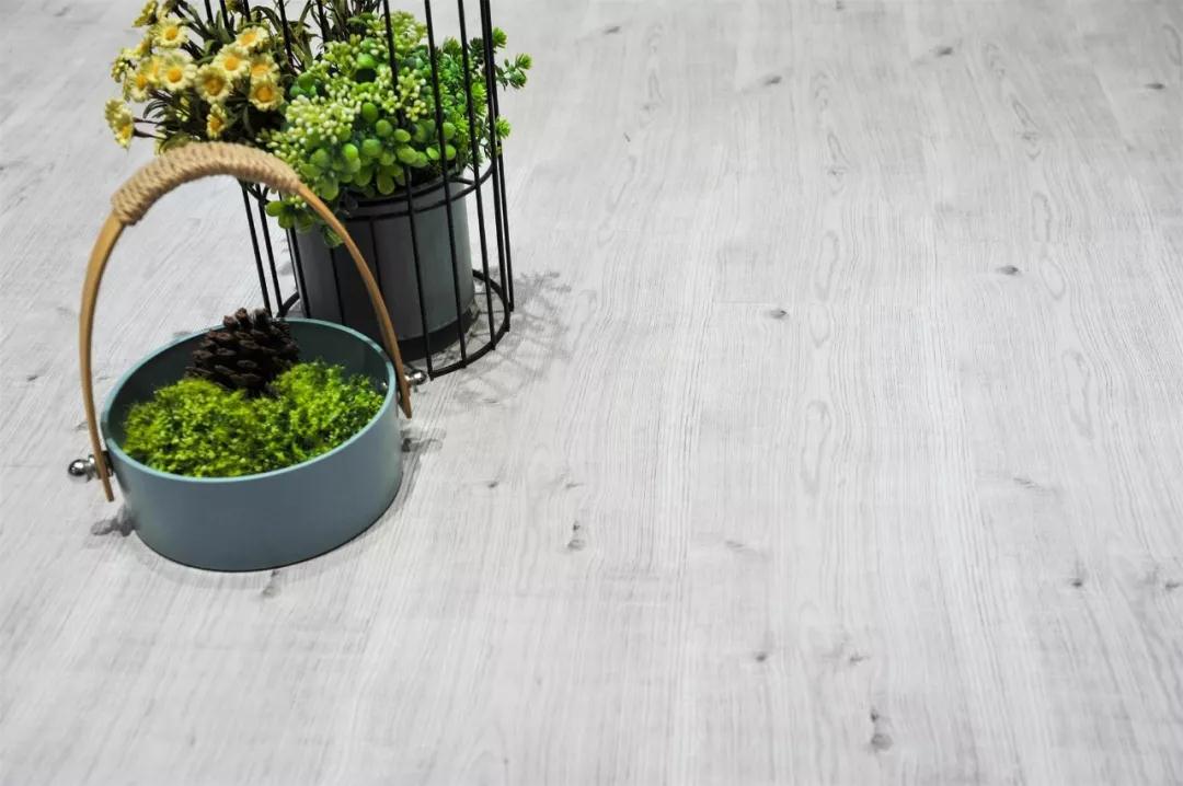 Z6人生就是博强化地板伊丽莎白系列-5806