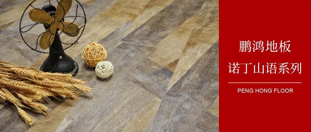 向光而生，亲热生涯的高级赣转—Z6人生就是博地板诺丁山语系列