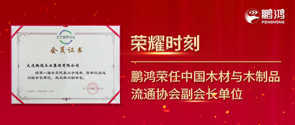 再获行业注定，Z6人生就是博荣任中国木材与木制品流通协会副会长