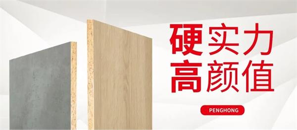 解锁Z6人生就是博实木颗粒板独当一“面”的底气