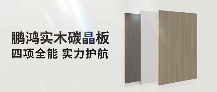 四项全能碳晶板，解锁家装超能力