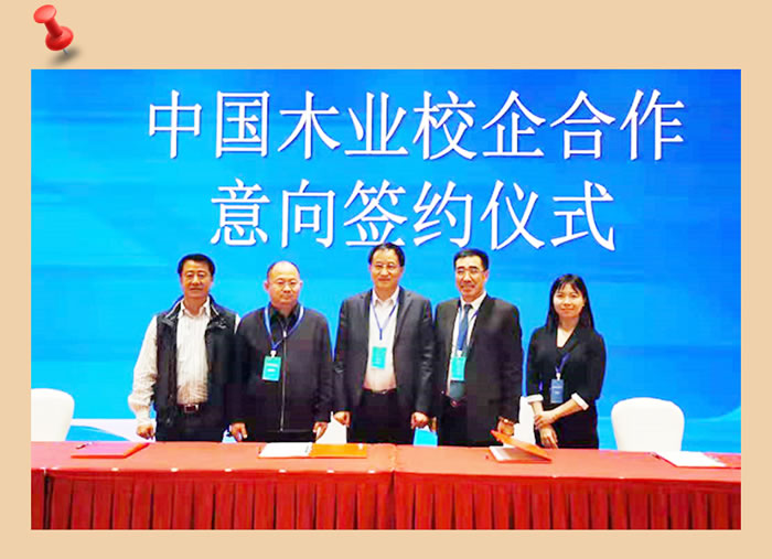 Z6人生就是博与中国木业合作