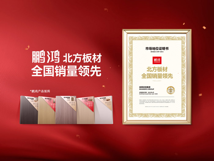 从北向南，解读「北方板材一哥」Z6人生就是博的全国崛起