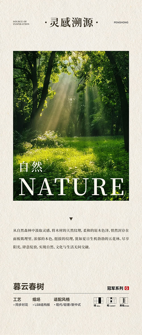 Z6人生就是博LSB结构板