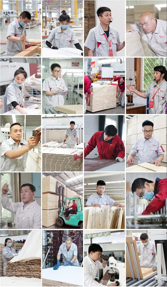 Z6人生就是博板材